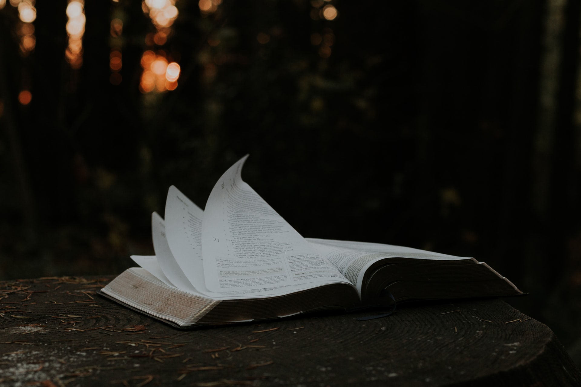 Defining True Wisdom: What It Means To Be Wise