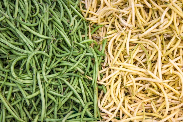 beans for Mental Health