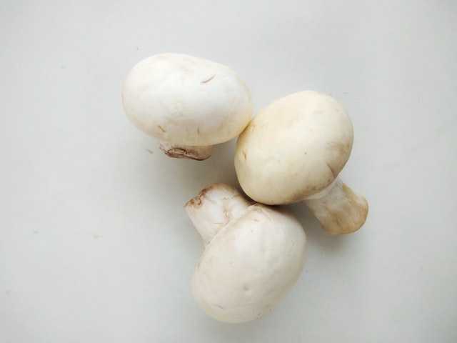 shrooms for mental health